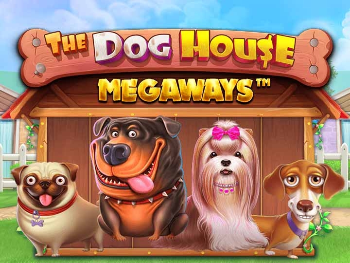 The Dog House, slot, estratégias, apostas, cassino online